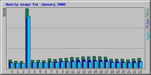 Hourly usage for January 2006